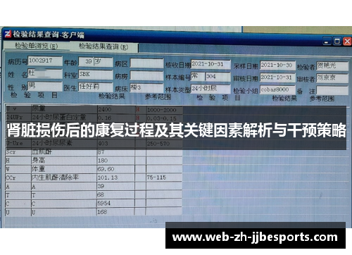 肾脏损伤后的康复过程及其关键因素解析与干预策略